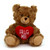 (Sample) 6" & 9" Valentine Teddy Bear with a Message on Holding Heart