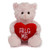 (Sample) 6" & 9" Valentine Teddy Bear with a Message on Holding Heart