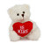 (Sample) 6" & 9" Valentine Teddy Bear with a Message on Holding Heart