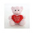 (Sample) 6" & 9" Valentine Teddy Bear with a Message on Holding Heart