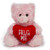 (Sample) 6" & 9" Valentine Teddy Bear with a Message on Holding Heart