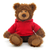 (Sample) 10" Frankie Teddy Bear with Custom Hoodies | Stuffed Animals