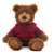 (Sample) 10" Frankie Teddy Bear with Custom Hoodies | Stuffed Animals