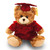 (Sample) 11″ Graduation Bear Plush | Stuffed Animal in Cap & Gown