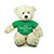 (Sample) Brandon Cream Teddy Bear with Tee  11"