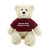 (Sample) Brandon Cream Teddy Bear with Tee  11"