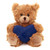 (Sample) 6″ Valentine Teddy Bear with Custom Heart | Teddy with Heart