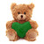 (Sample) 6″ Valentine Teddy Bear with Custom Heart | Teddy with Heart