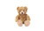 Sample of Ivy Sitting Bear 9"