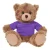 12" Beige Teddy Bear with Custom T-Shirts | Custom Plush Toy