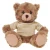 12" Beige Teddy Bear with Custom T-Shirts | Custom Plush Toy
