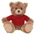 12" Beige Teddy Bear with Custom T-Shirts | Custom Plush Toy