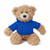 12" Brandon Beige Bear in Hoodie | Customizable Plush Bear