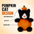 Halloween Pumpkin Cat