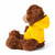 12" Brandon Chocolate Bear in Hoodie | Customizable Plush