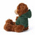 12" Brandon Chocolate Bear in Hoodie | Customizable Plush