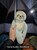 Weighted Small Sloth Hugger | Sensory Plush Animal 3.25lbs