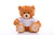 11" Customizable Mocha Plush Bear in Colorful Custom T-shirt