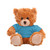11" Customizable Mocha Plush Bear in Colorful Custom T-shirt