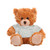 11" Customizable Mocha Plush Bear in Colorful Custom T-shirt