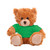11" Customizable Mocha Plush Bear in Colorful Custom T-shirt