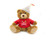 12" Birthday Teddy Bear with Custom T-Shirt | Plush Gift