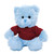 12" Blue Teddy Bear with Custom T-Shirts | Custom Plush Toy