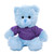 12" Blue Teddy Bear with Custom T-Shirts | Custom Plush Toy