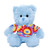 12" Blue Teddy Bear with Custom T-Shirts | Custom Plush Toy