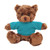 12" Chocolate Teddy Bear with Custom T-Shirts | Custom Plush