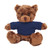 12" Chocolate Teddy Bear with Custom T-Shirts | Custom Plush