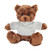 12" Chocolate Teddy Bear with Custom T-Shirts | Custom Plush