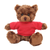 12" Chocolate Teddy Bear with Custom T-Shirts | Custom Plush