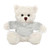 12" Personalized Cream Teddy Bear Plush with Custom T-Shirts