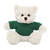 12" Personalized Cream Teddy Bear Plush with Custom T-Shirts
