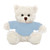 12" Personalized Cream Teddy Bear Plush with Custom T-Shirts