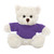 12" Personalized Cream Teddy Bear Plush with Custom T-Shirts