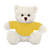 12" Personalized Cream Teddy Bear Plush with Custom T-Shirts