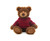 10" Plush Teddy Bear Holiday - Frankie with Hoodie