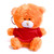 4" Qbeba Bear Keychain with Customized Tee-Plush Keychain
