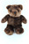 Cuddly Bear Dark Brown 11"