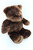 Cuddly Bear Dark Brown 11"