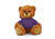 Customized Mocha Bear with hoodie, sitting, 11