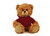 Customized Mocha Bear with hoodie, sitting, 11