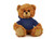 Customized Mocha Bear with hoodie, sitting, 11