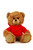 Customized Mocha Bear with hoodie, sitting, 11