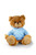 Customized Mocha Bear with hoodie, sitting, 11