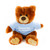 Customized Plush teddy bear Noah 12" with Tee