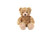 Ivy Sitting Bear 9"