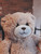 Maxi the Furry Bear 9"